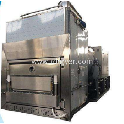 Jellyfish freeze-drying machine